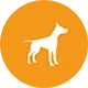 allsafe amigo Haftpflichtversicherung für Hundehalter