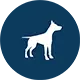 allsafe amigo Hundehalterhaftpflichtversicherung