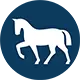 allsafe cavallo Pferdehalterhaftpflichtversicherung