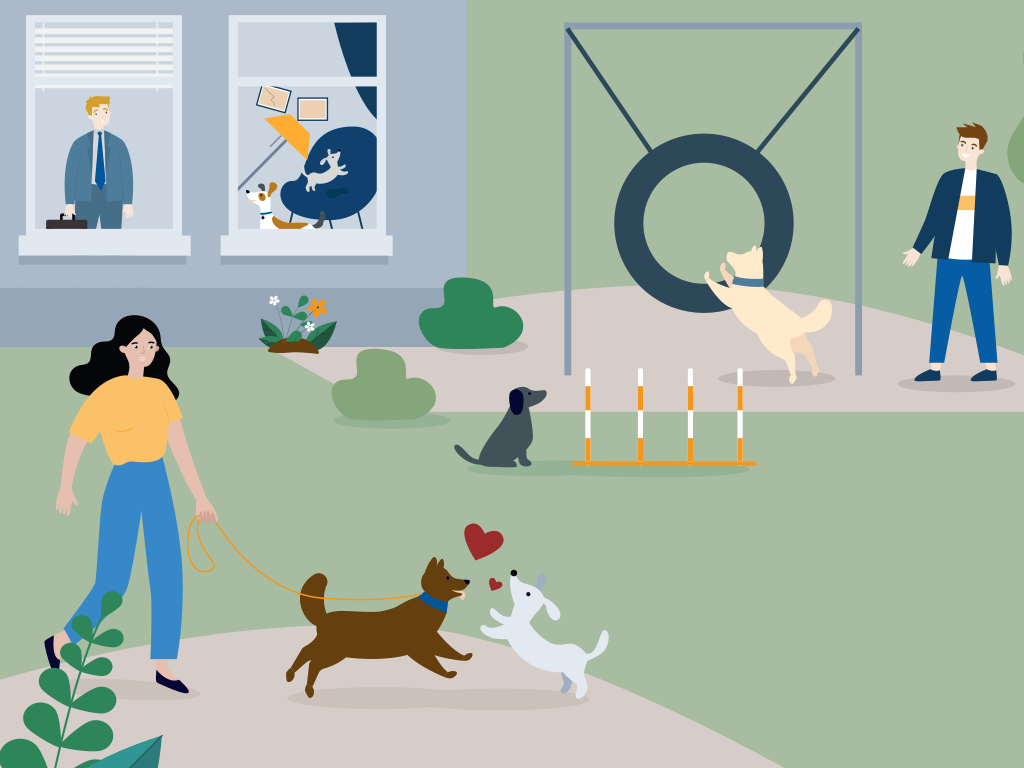 Hunde beim Spielen und Training – Hundehalterhaftpflichtversicherung allsafe amigo von k+m